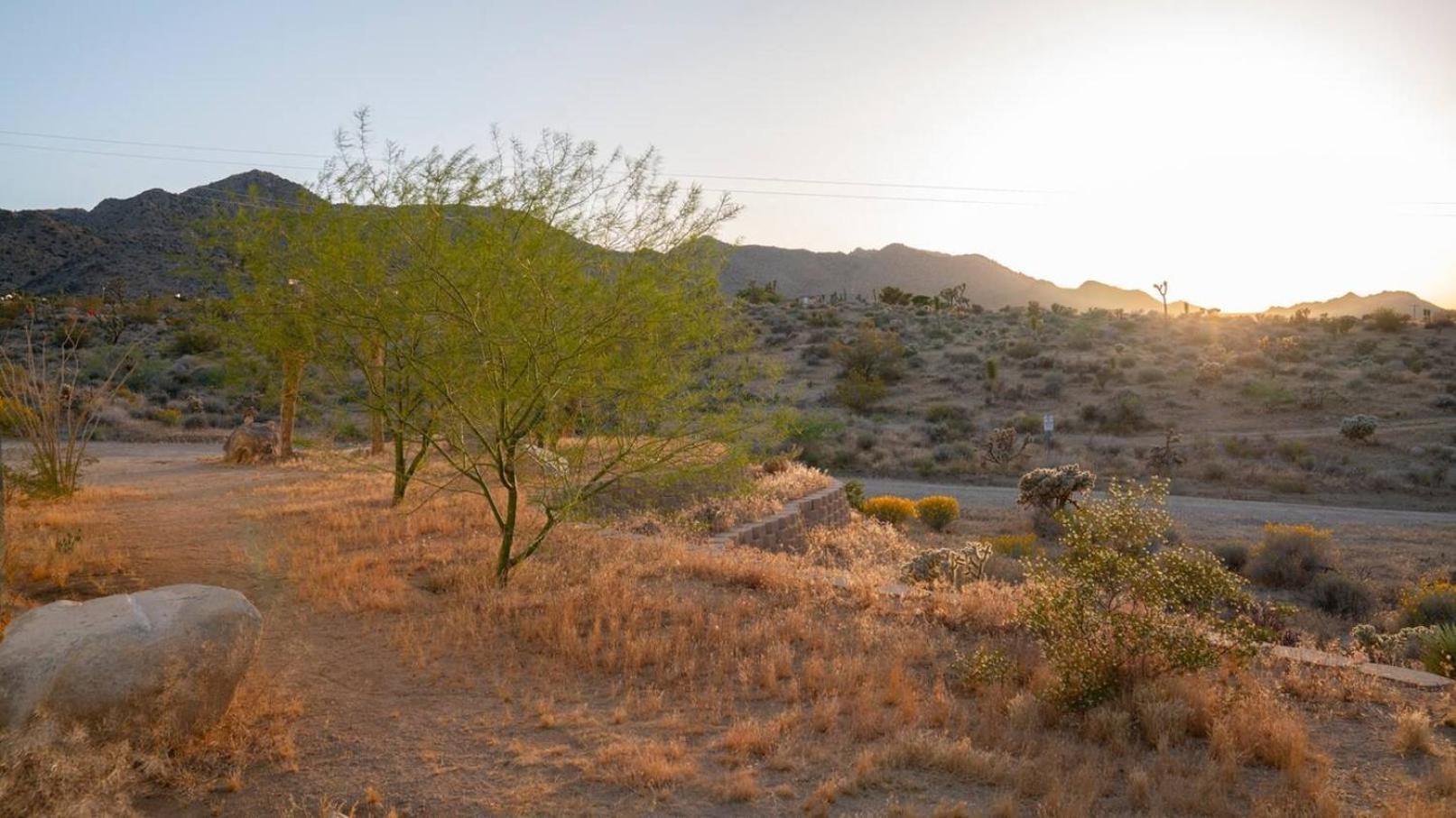 Experience Desert Serenity Gateway To Joshua Tree Exterior foto
